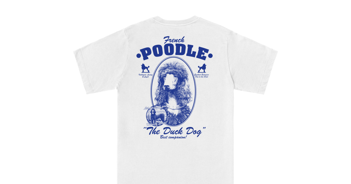 French Poodle