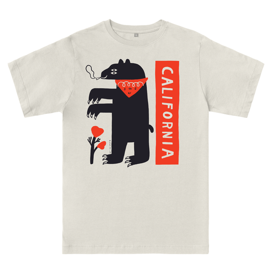  New California