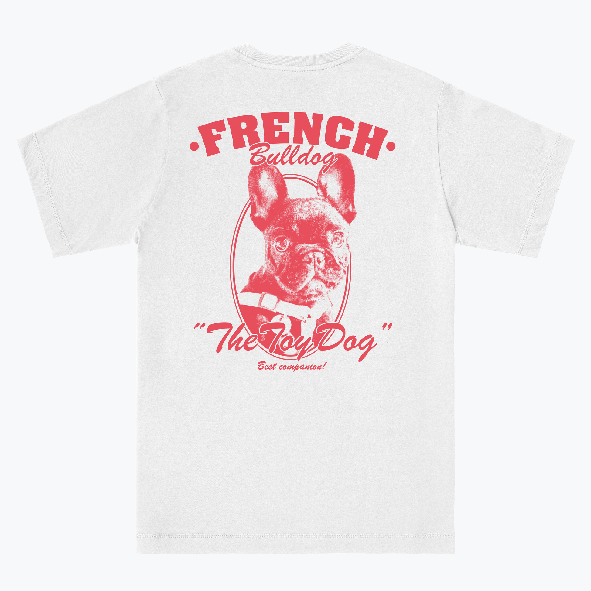  FRENCH BULLDOG
