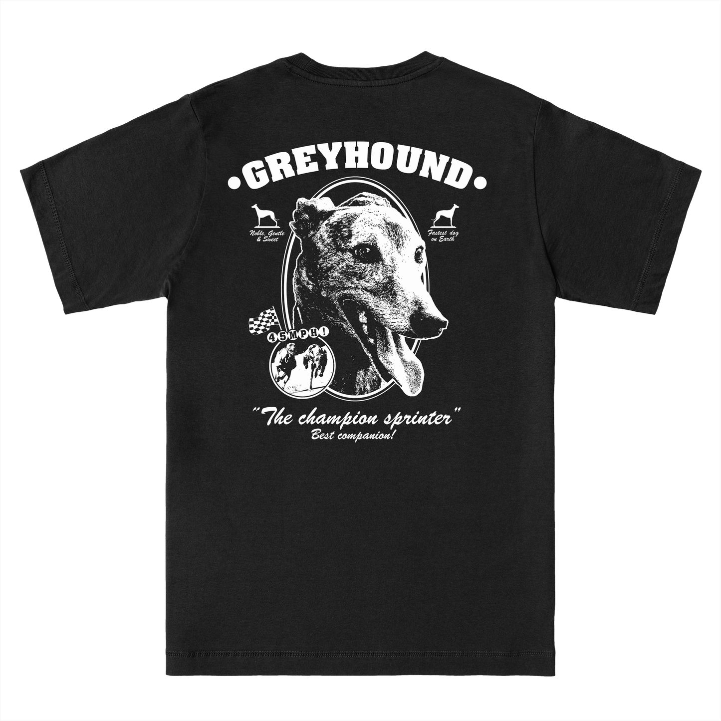  GREYHOUND