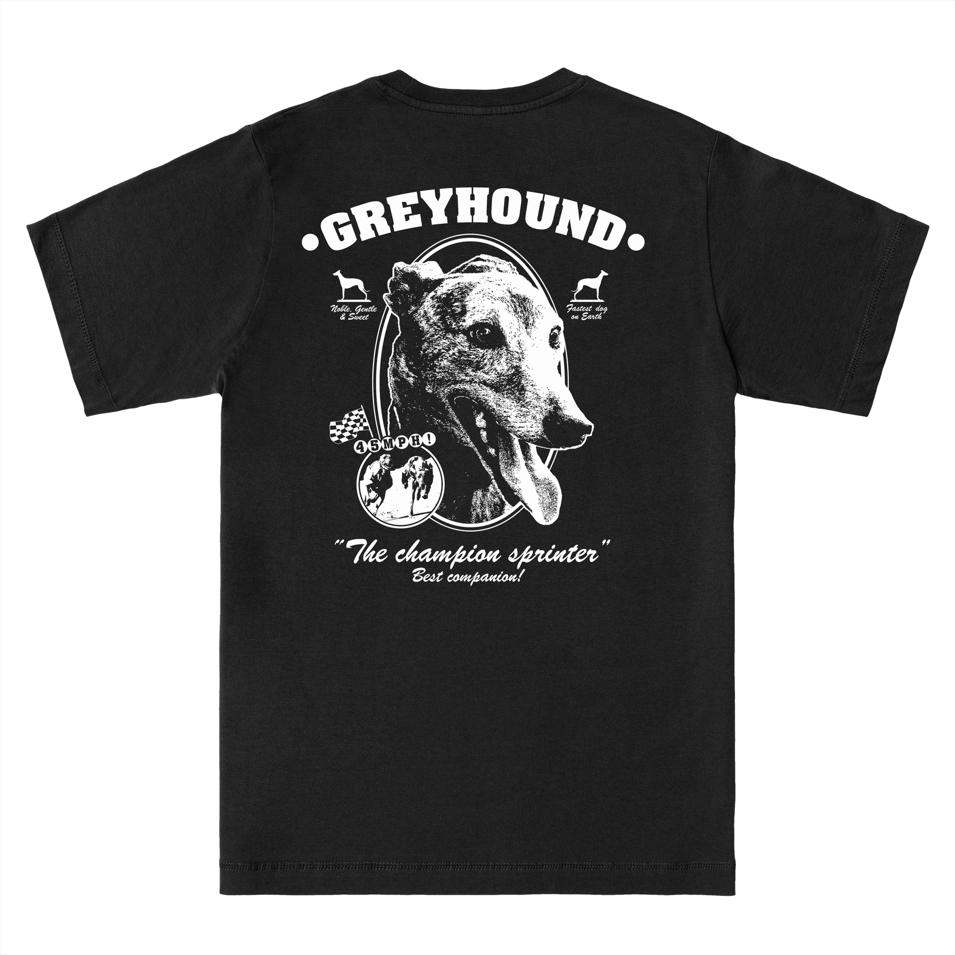  GREYHOUND