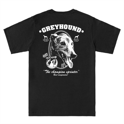  GREYHOUND