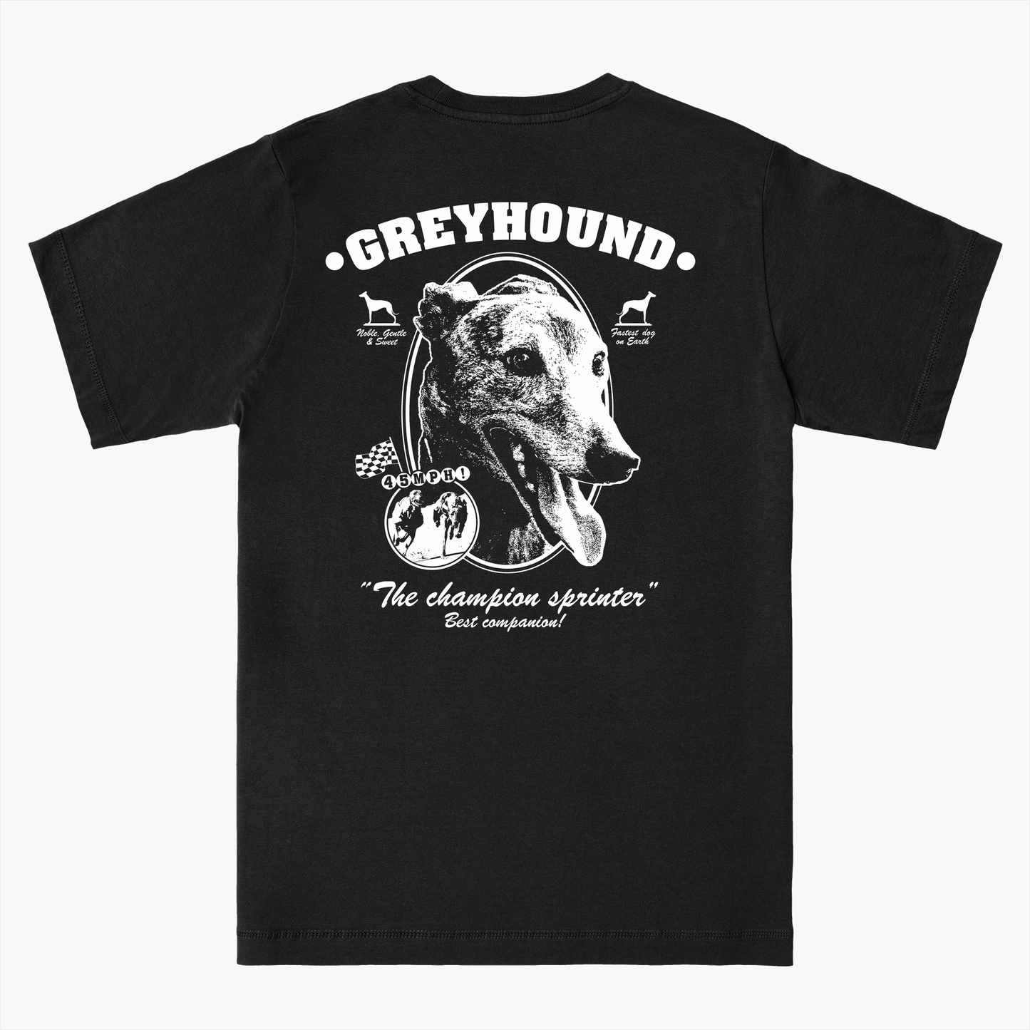  GREYHOUND