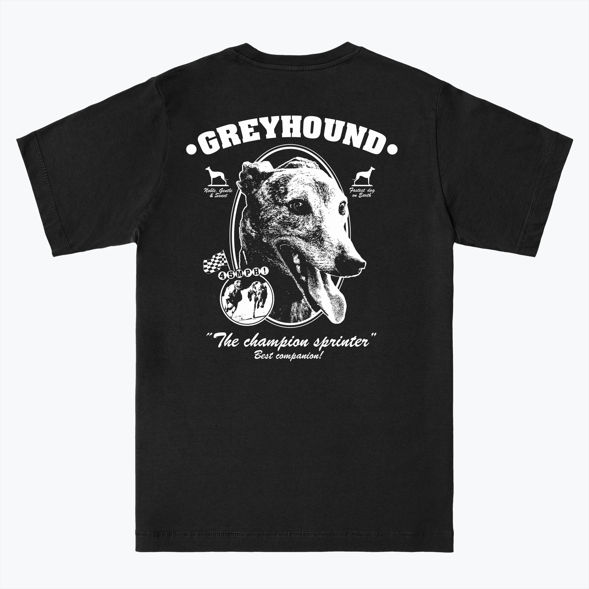  GREYHOUND