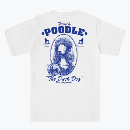  French Poodle