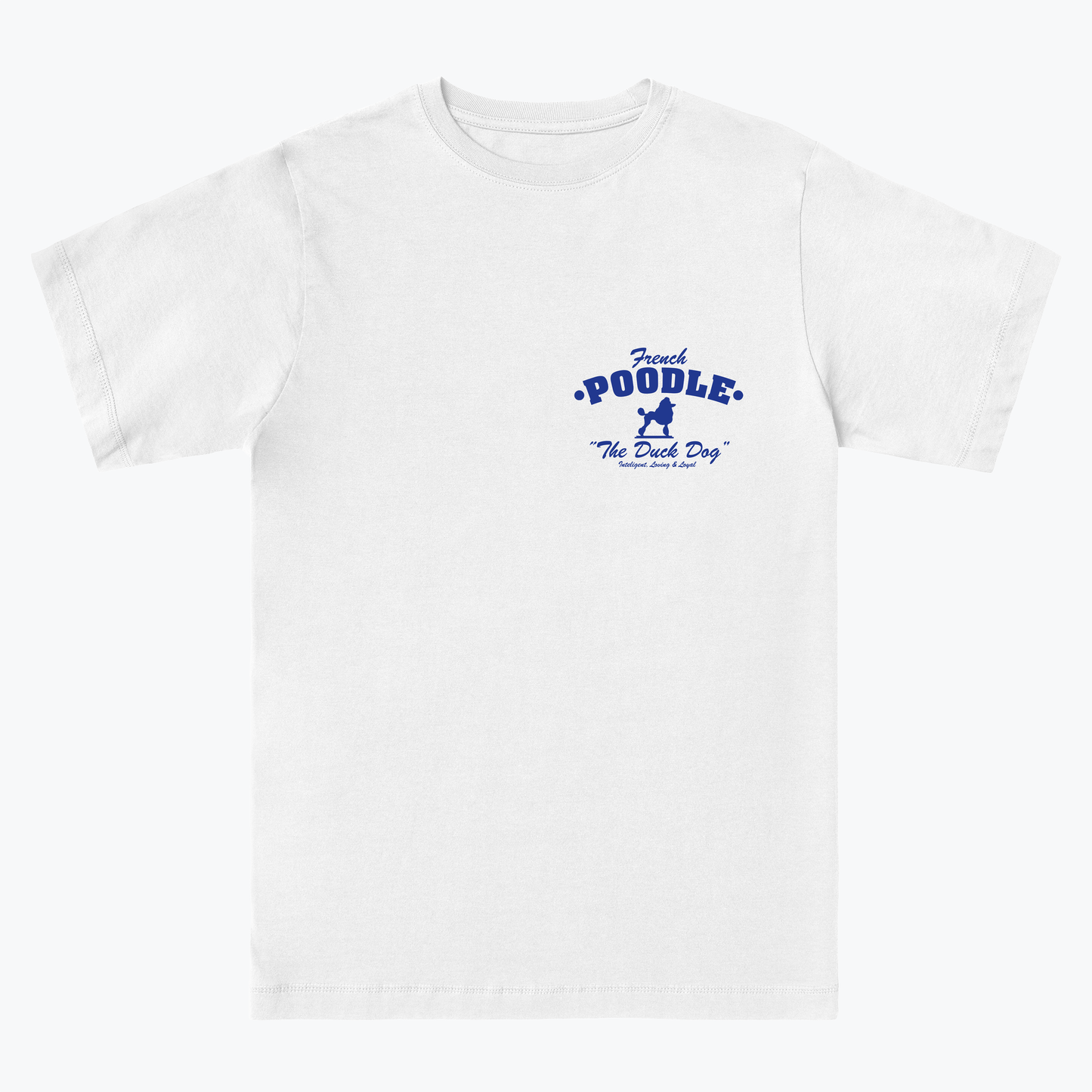  French Poodle