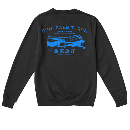  Run Rabbit Run