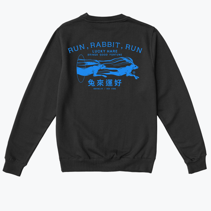  Run Rabbit Run