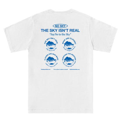  The Sky Isn't Real