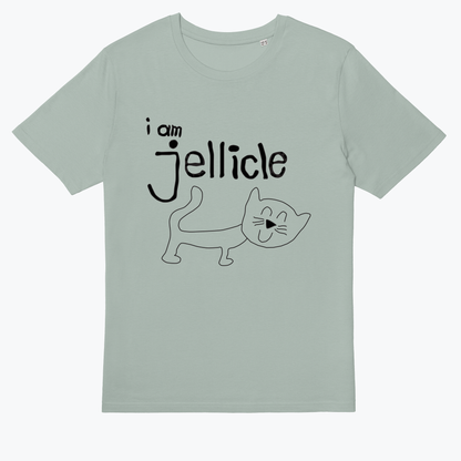  Jellicle Cat Original Design