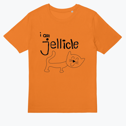  Jellicle Cat Original Design