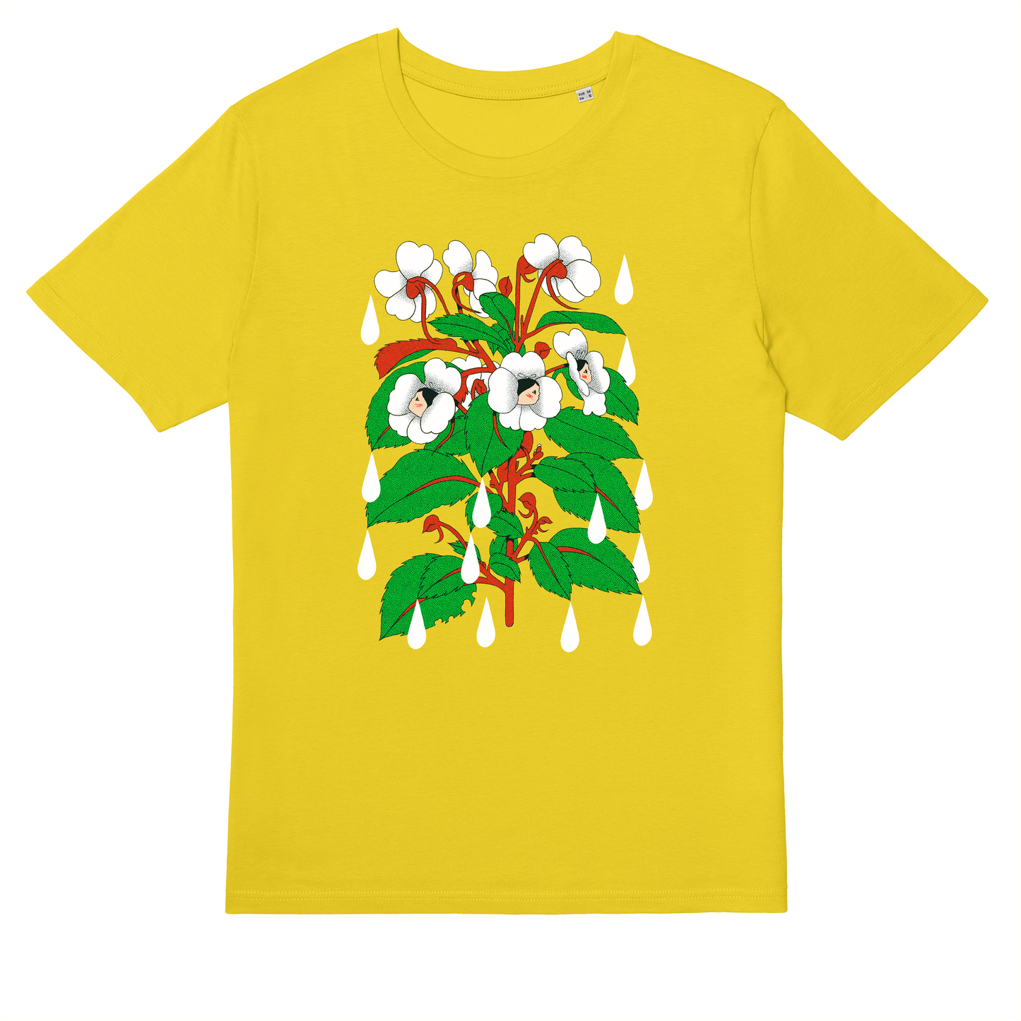  Sensitive Flower