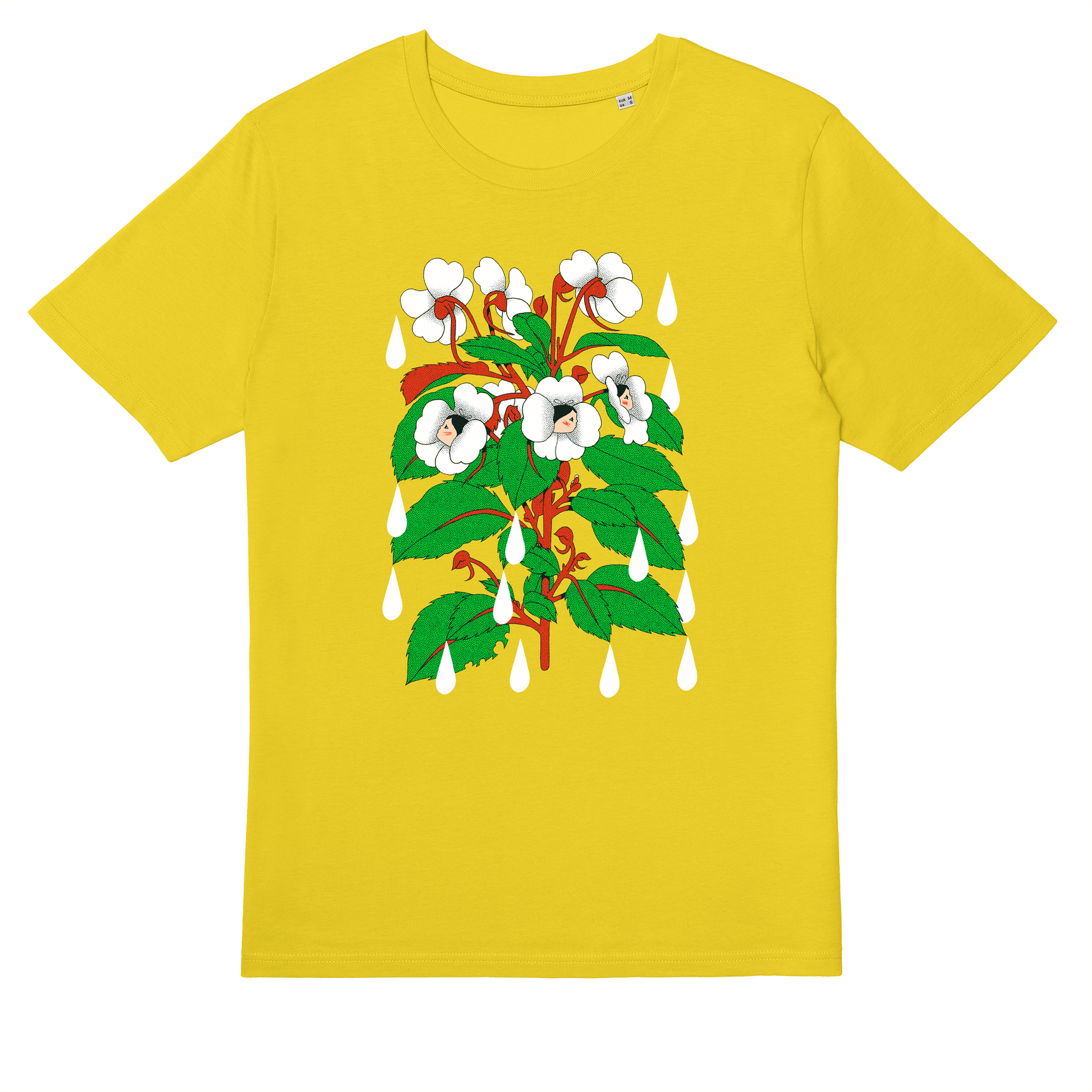  Sensitive Flower