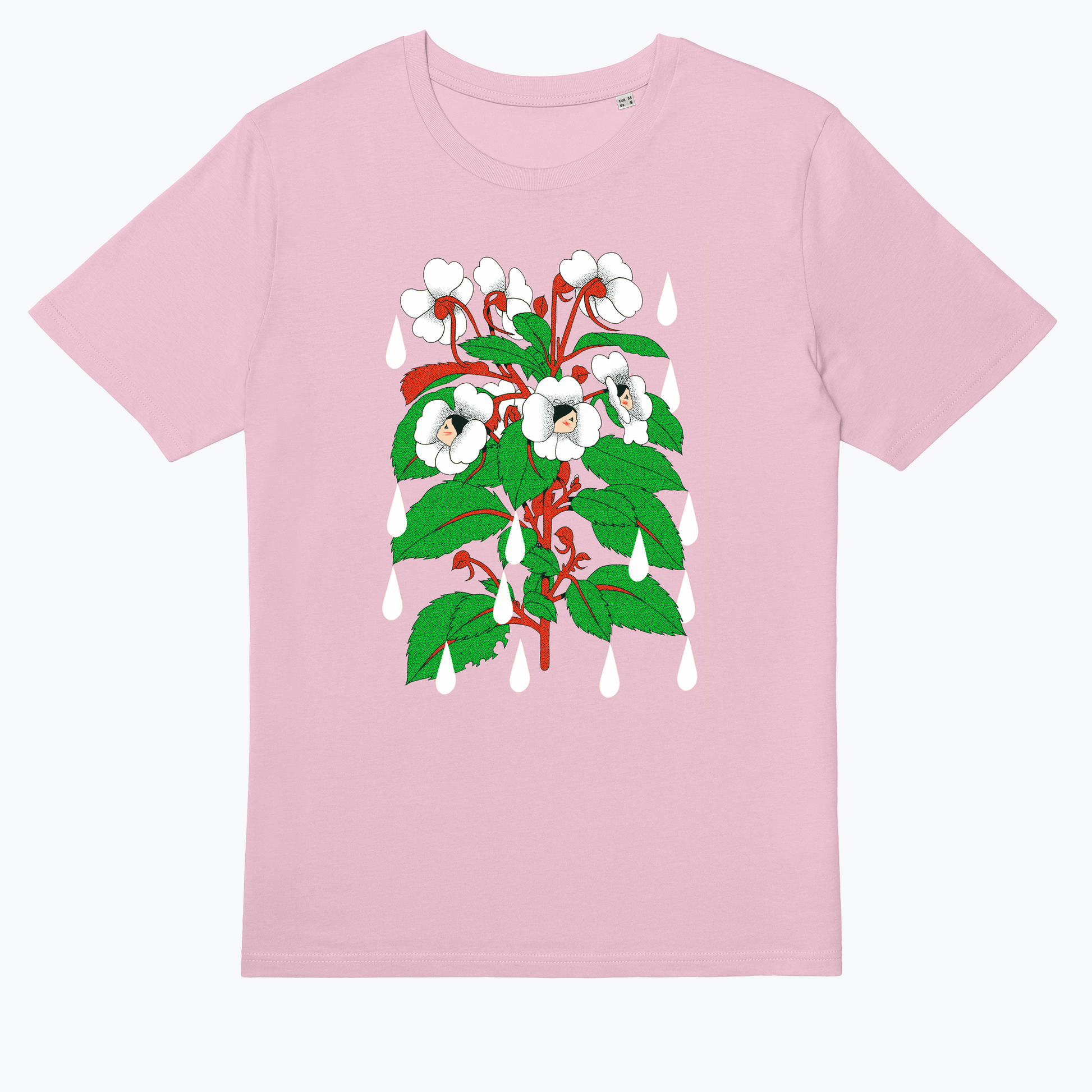  Sensitive Flower