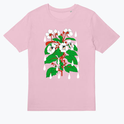  Sensitive Flower