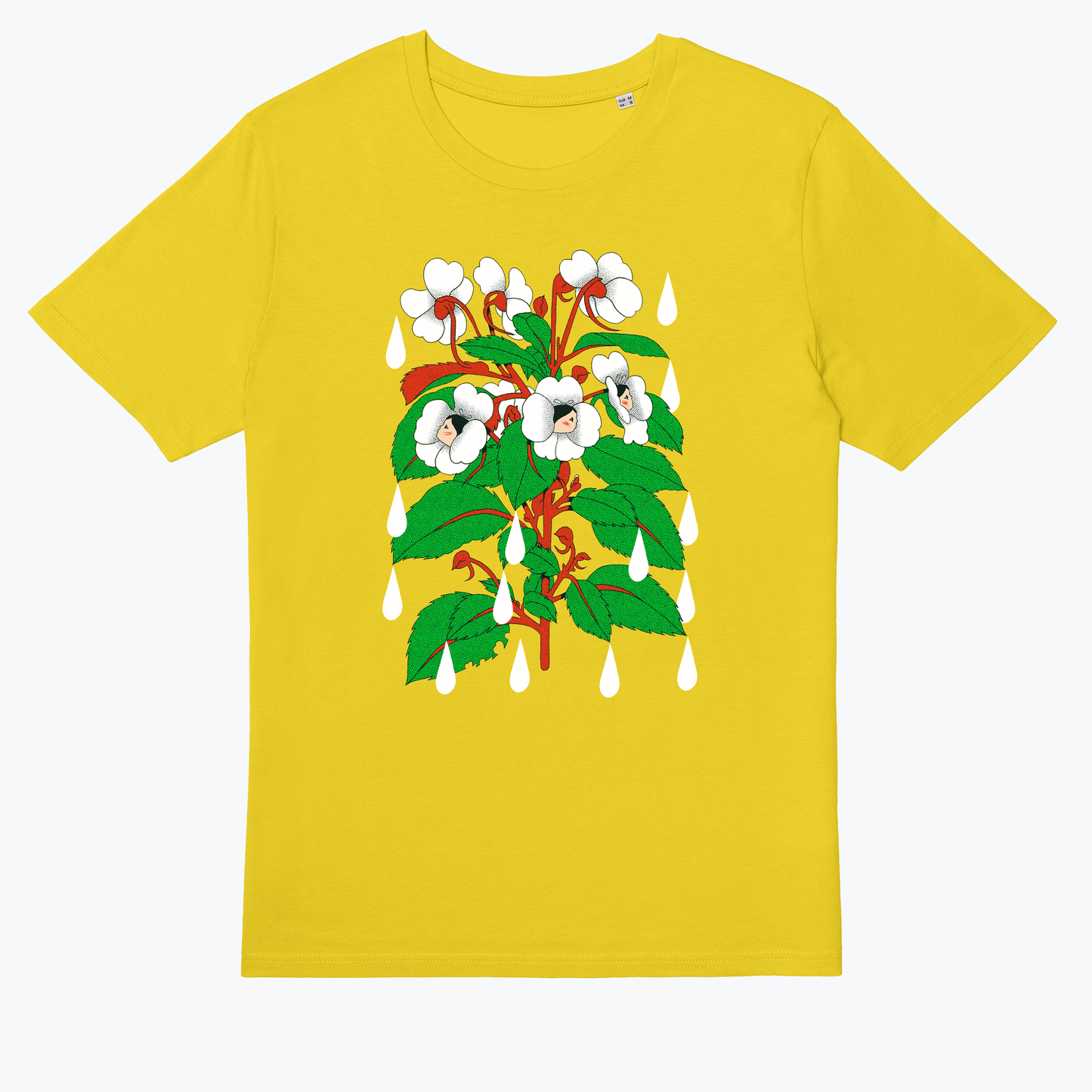 Sensitive Flower