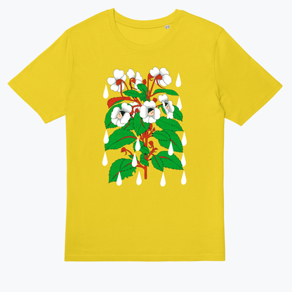  Sensitive Flower