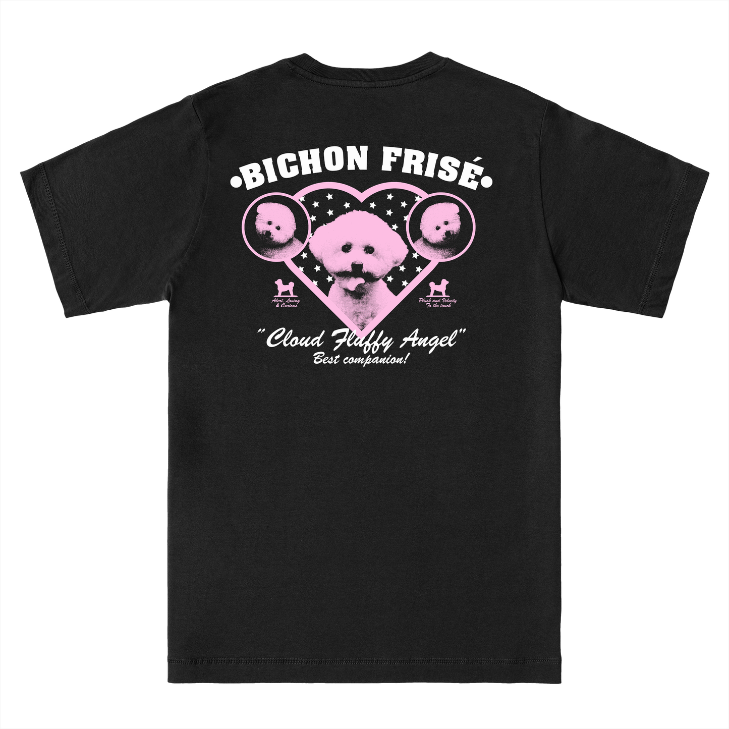  BICHON FRISÉ