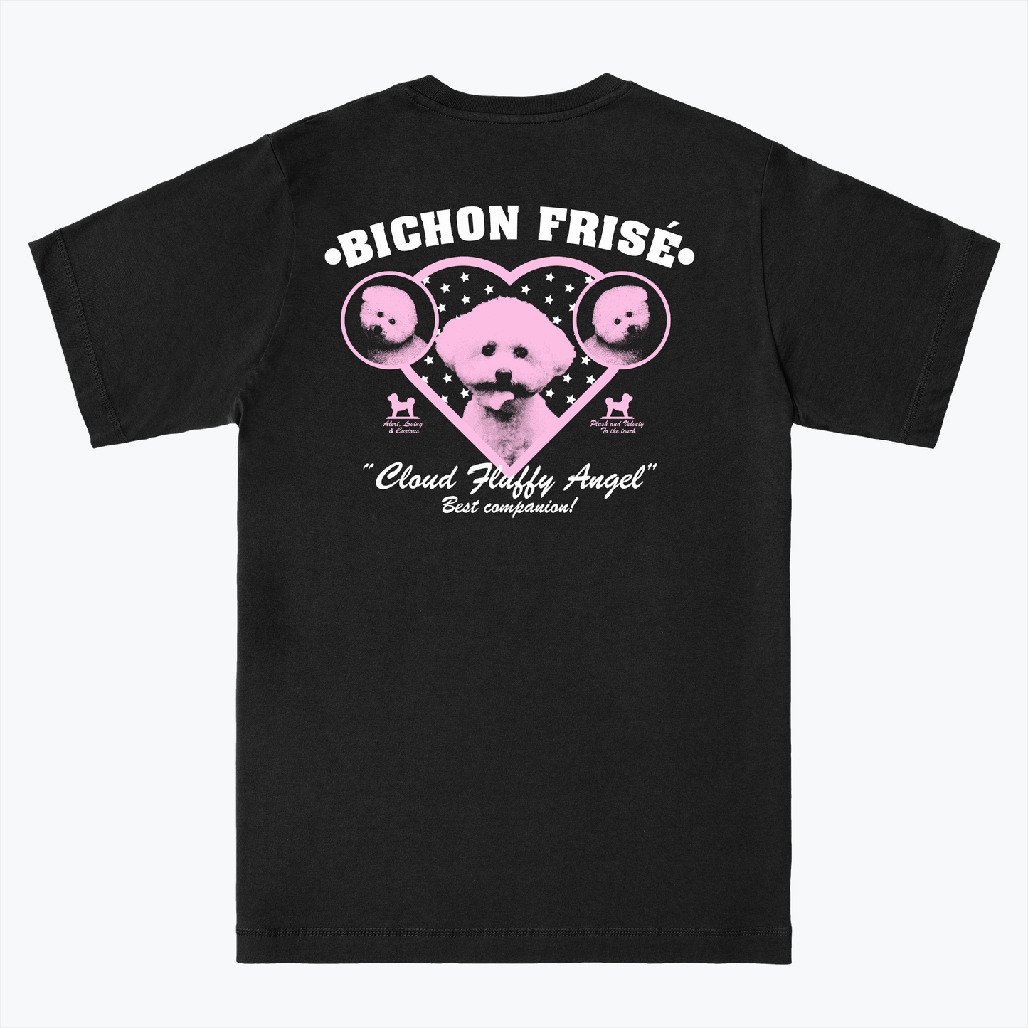  BICHON FRISÉ