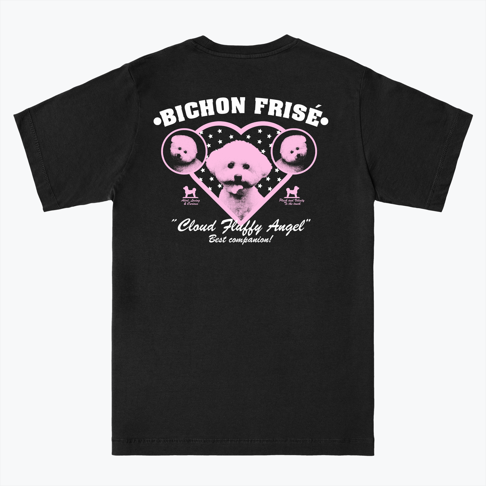  BICHON FRISÉ