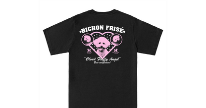  BICHON FRISÉ