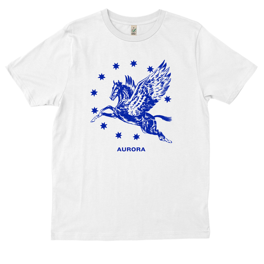  AURORa Pegasus