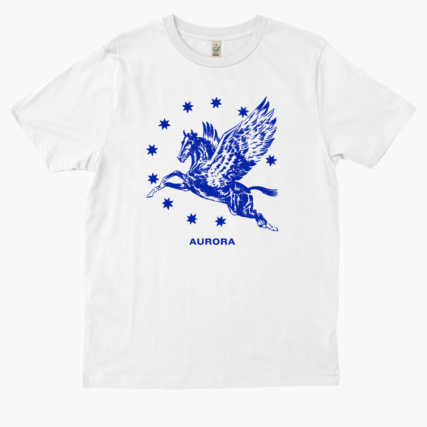  AURORa Pegasus