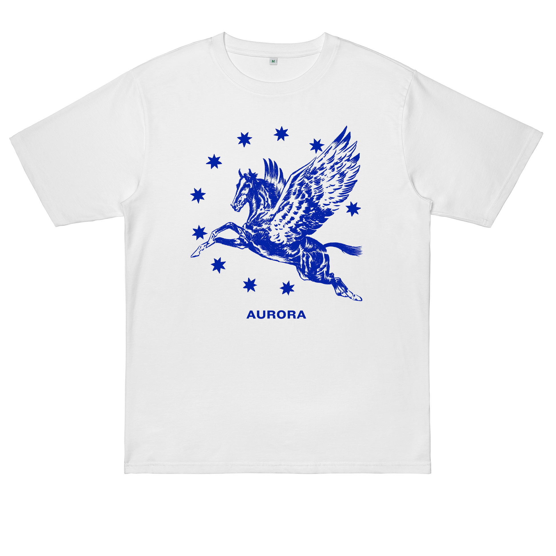 AURORa Pegasus