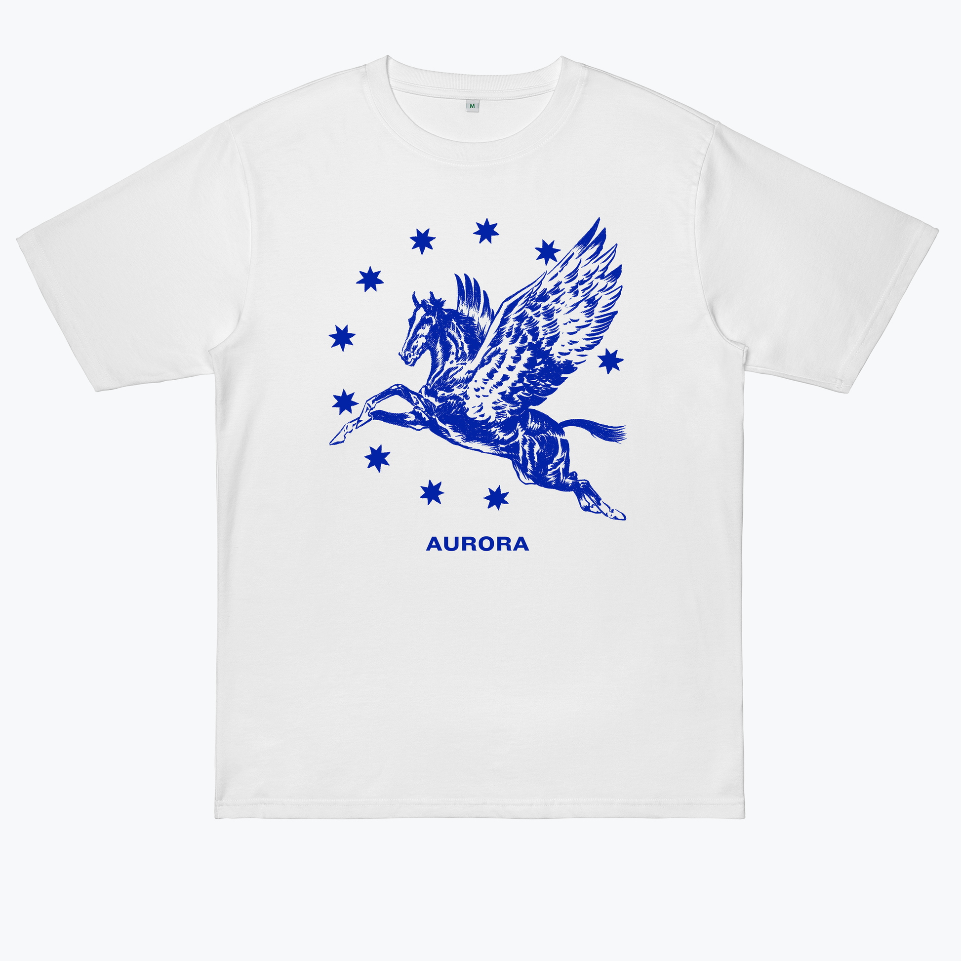  AURORa Pegasus