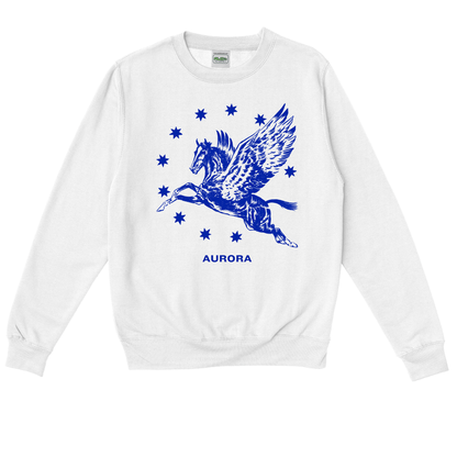  AURORa Pegasus