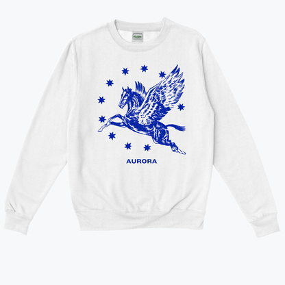  AURORa Pegasus