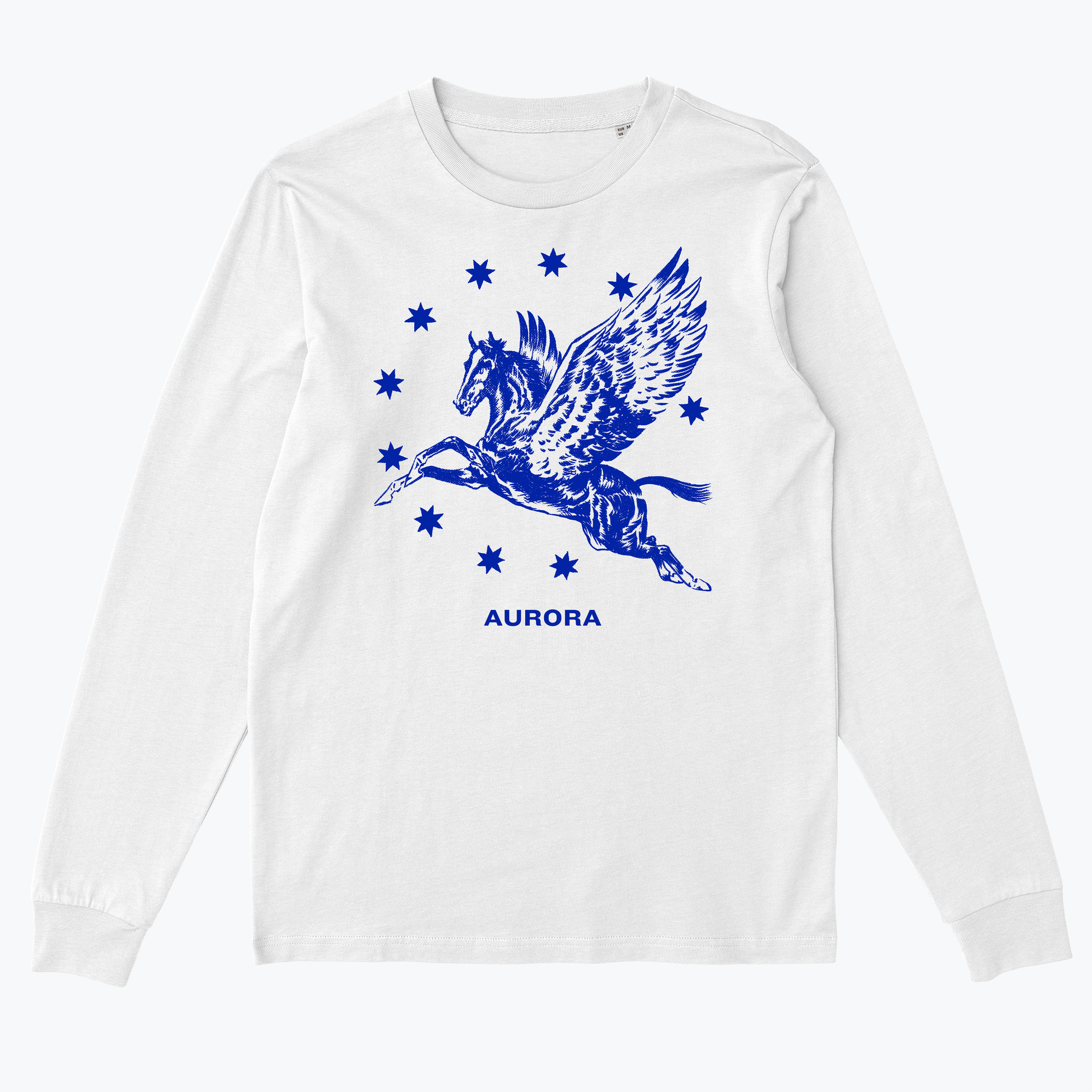  AURORa Pegasus