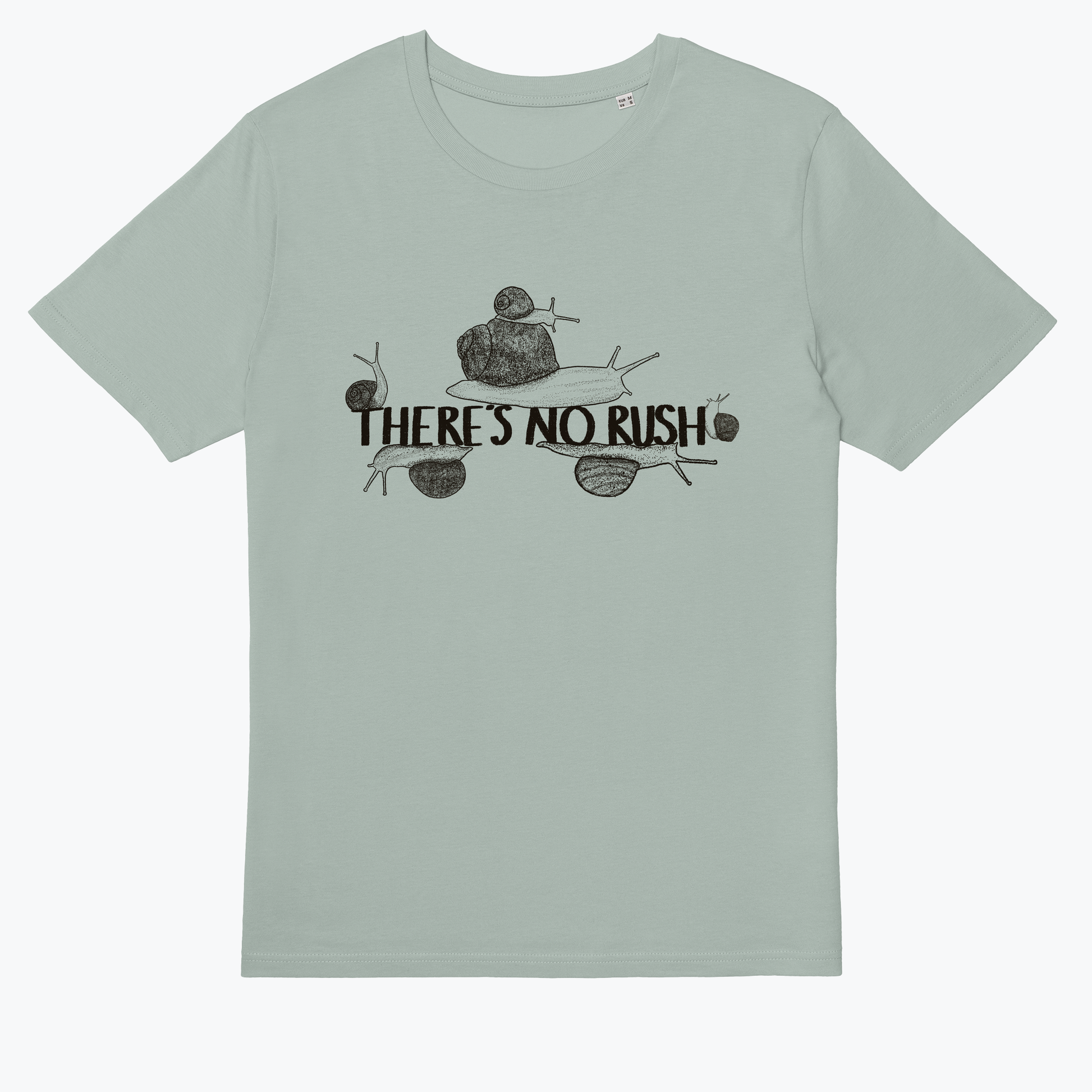  Snails Take Their Time