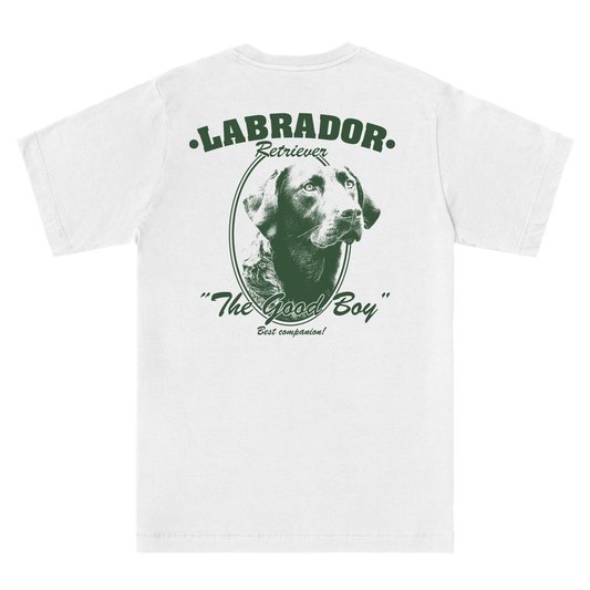  LABRADOR RETRIEVER