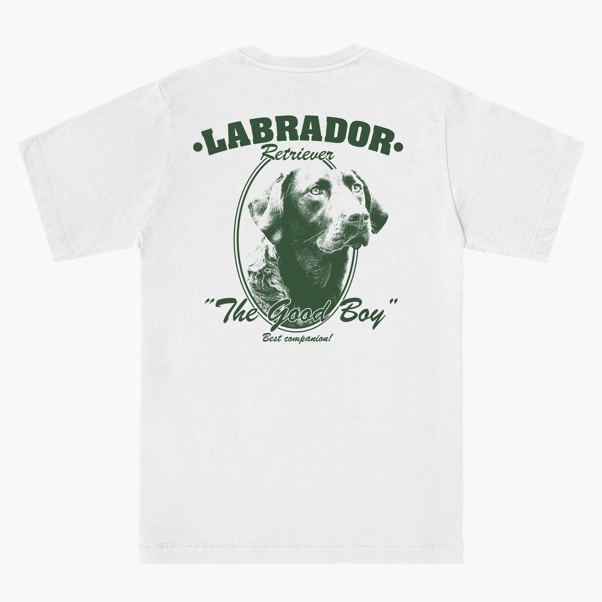  LABRADOR RETRIEVER