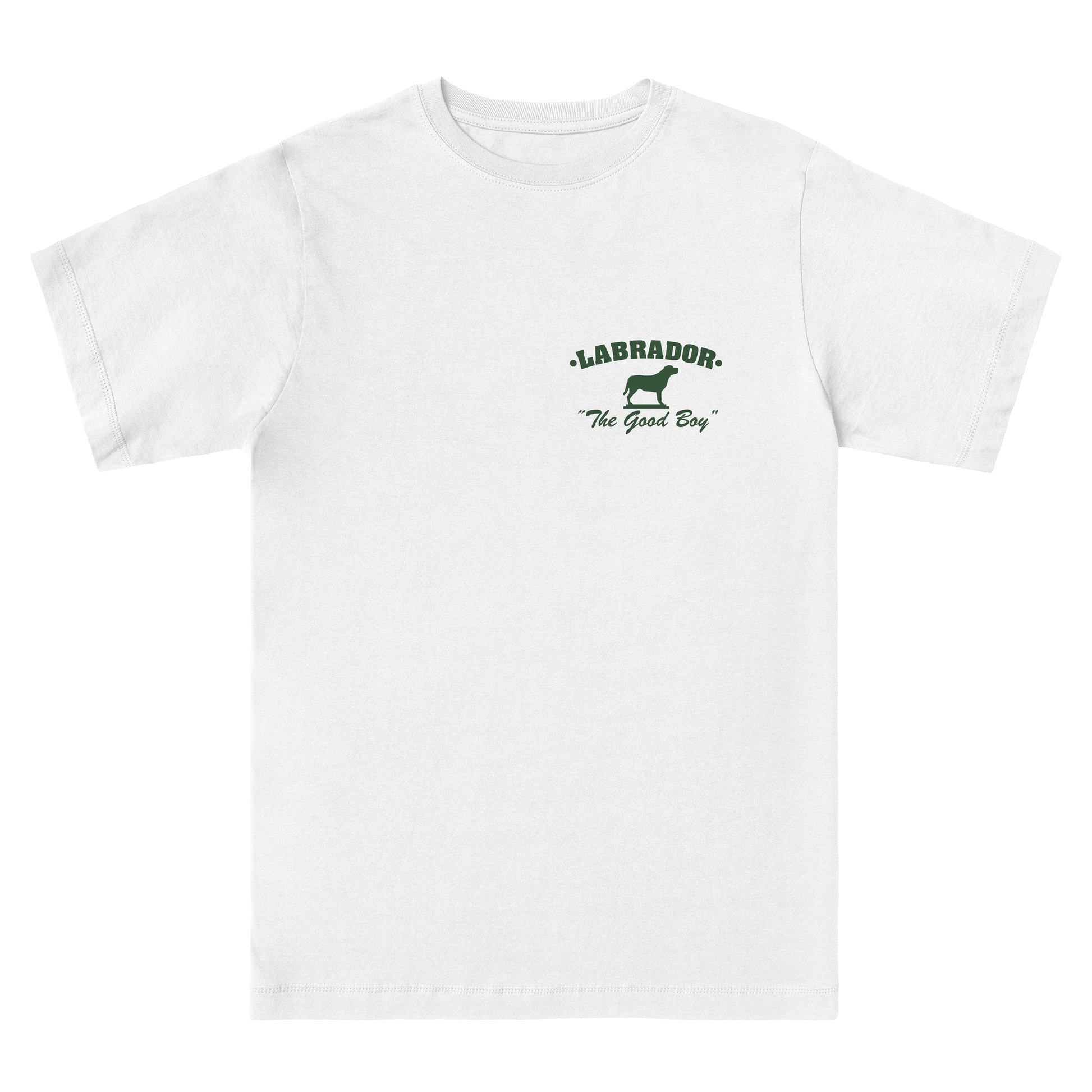  LABRADOR RETRIEVER