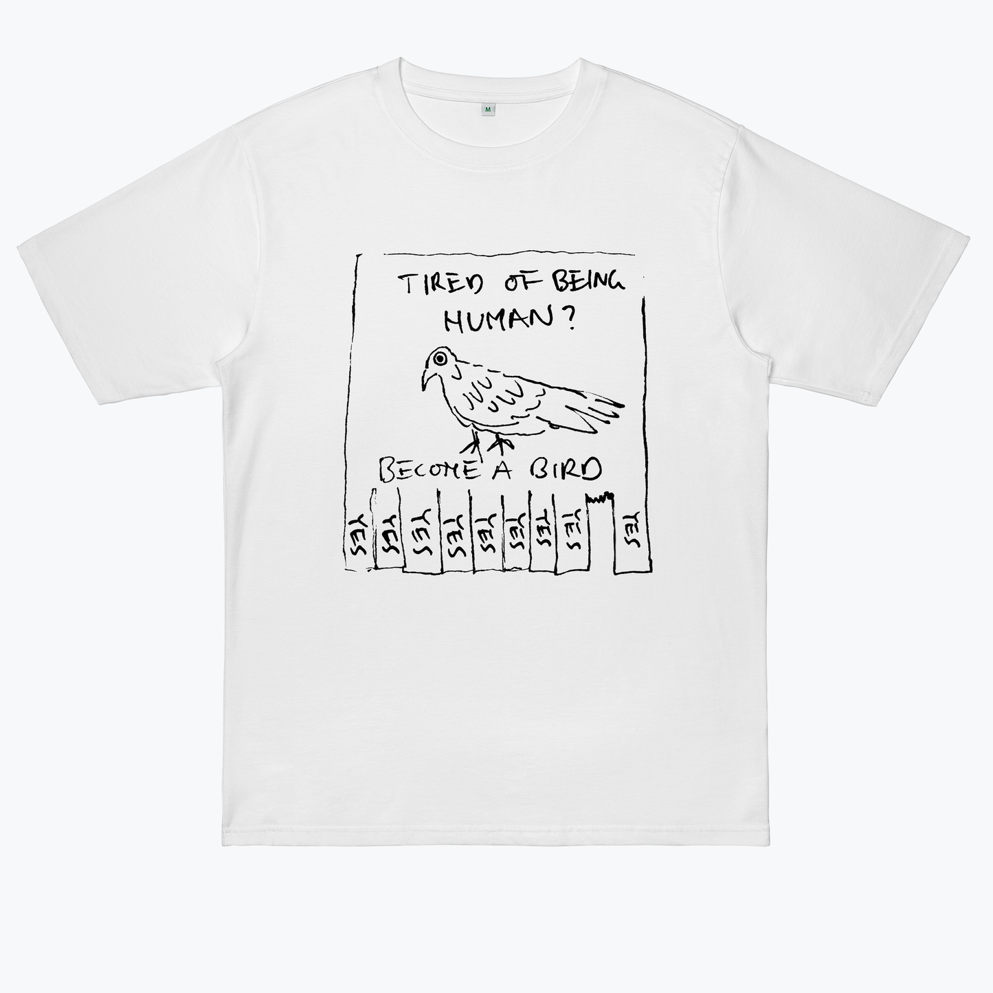 Become A Bird Now