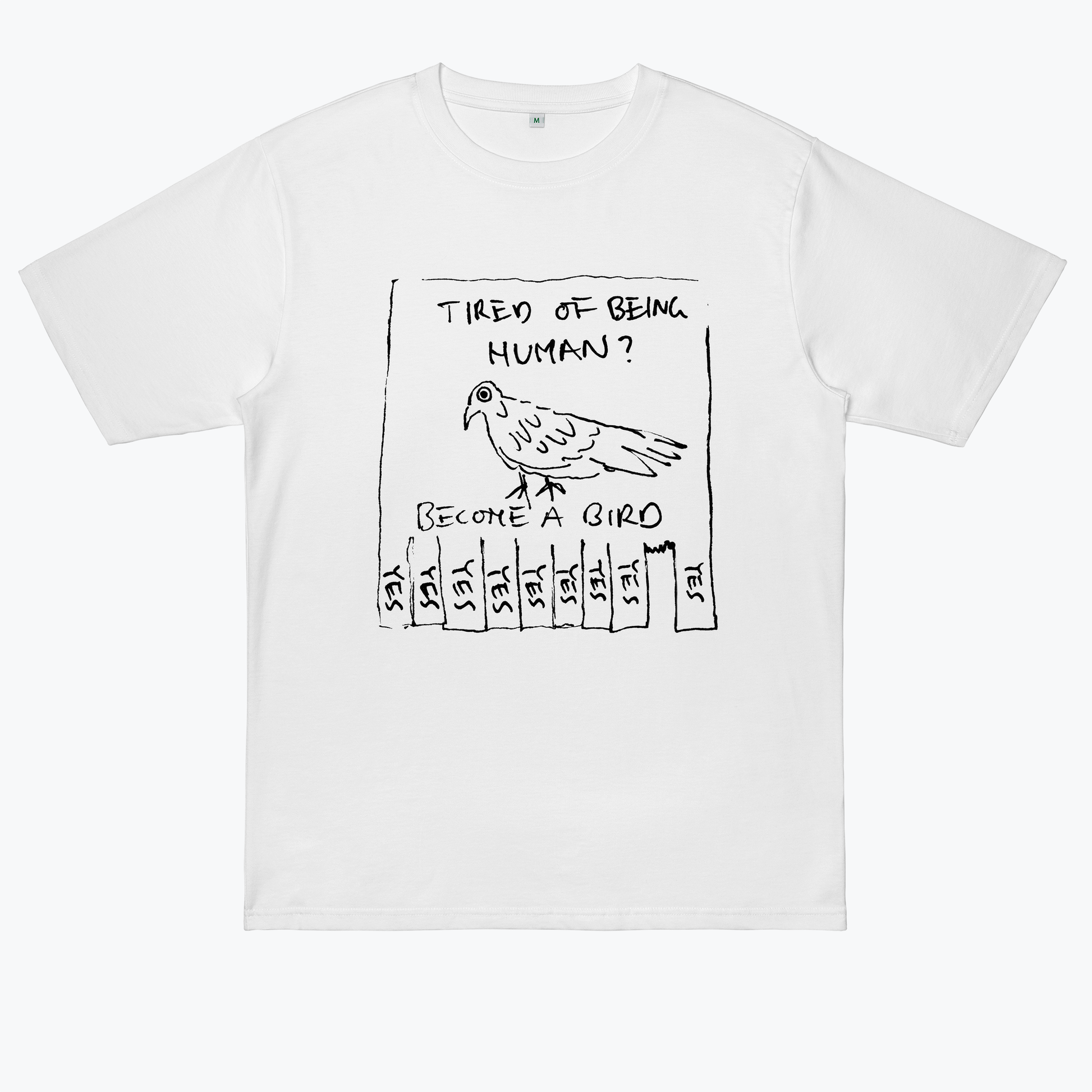  Become A Bird Now